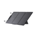 Сонячна панель EcoFlow 60W Solar Panel EFSOLAR60 фото 1